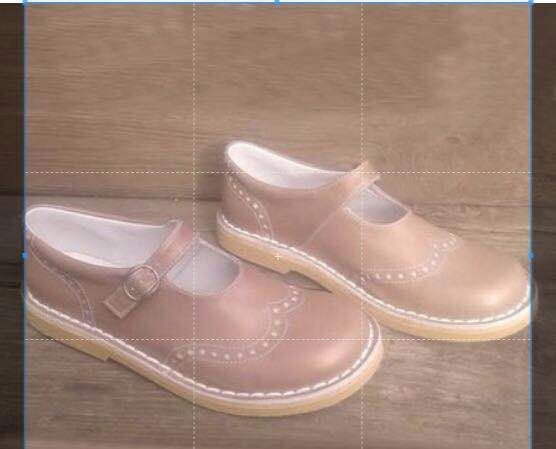 Prachtig Vervaardigde Orthopedische Schoenen