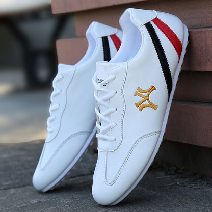 Veterschoenen voor heren